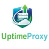UptimeProxy
